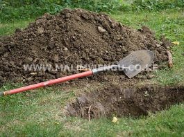 man kills and buries woman in a shallow grave