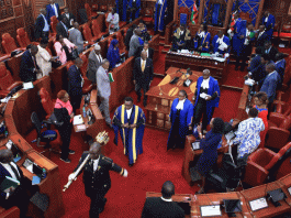 Senate Assembly
