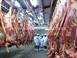 Kenya Meat Commission