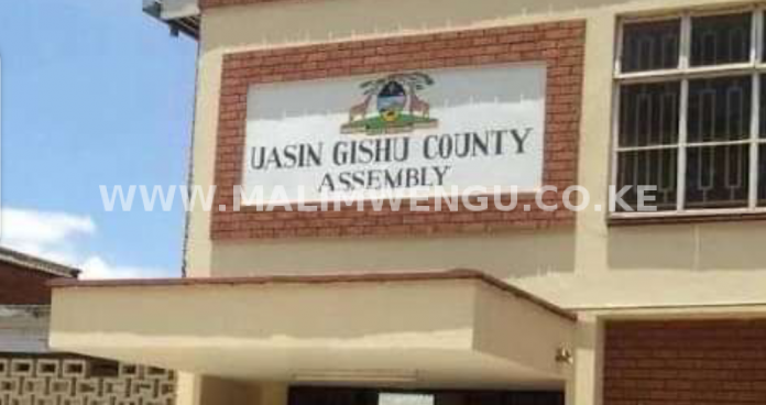 Yasin Fishy county assembly shutdown indefinitely