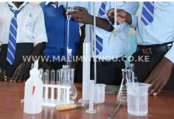 Students in a laboratory conducting an experiment