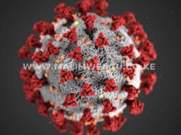 Image of a virus