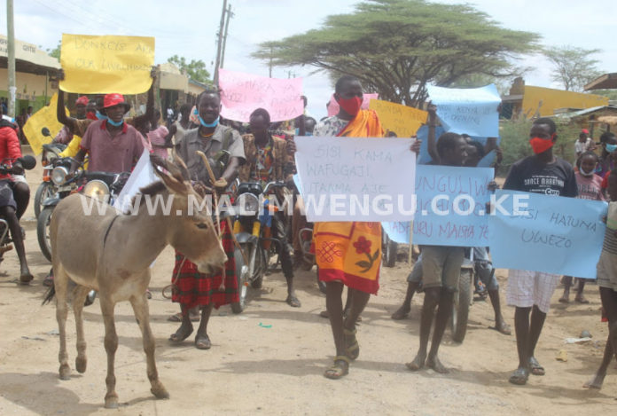 Donkey owners protesting