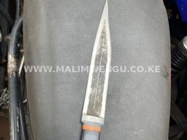 knife recovered from the thugs